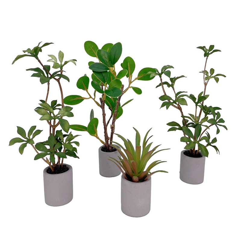 Bonsai Garden Zen - 1:6 Dollhouse Miniature Potted Plant Green
