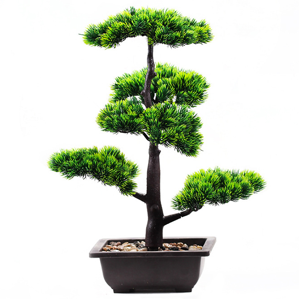 Bonsai Garden Zen - Nhân Tạo Thực Vật Làm Đẹp