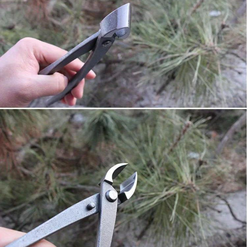 Bonsai Knob Cutter Concave Edg - đánh giá và giá Concave Branch Cutter