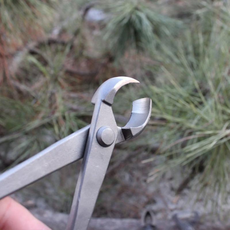 Bonsai Knob Cutter Concave Edg - đánh giá và giá Concave Branch Cutter