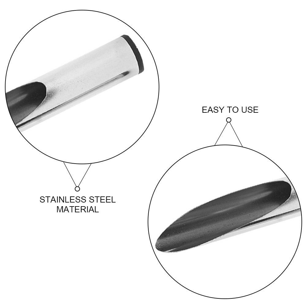 Portable Stainless Steel Plant - đánh giá và giá Soil Scoop Tool