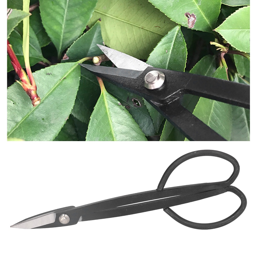 Stainless Steel Bonsai Scissor - đánh giá và giá Concave Branch Cutter
