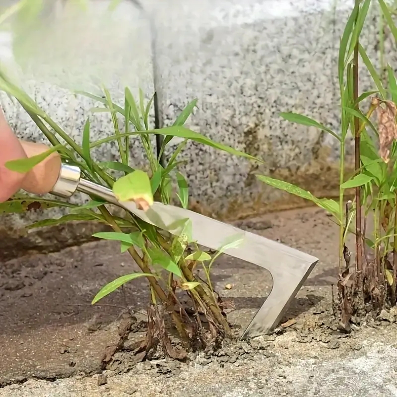 Heavy-Duty Carbon Steel Hand S - đánh giá và giá Soil Scoop Tool