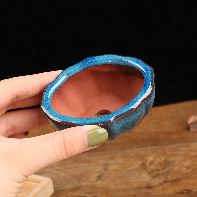 Phong Cách Trung Hoa Cây Cảnh  - đánh giá và giá Training Pot Ceramic