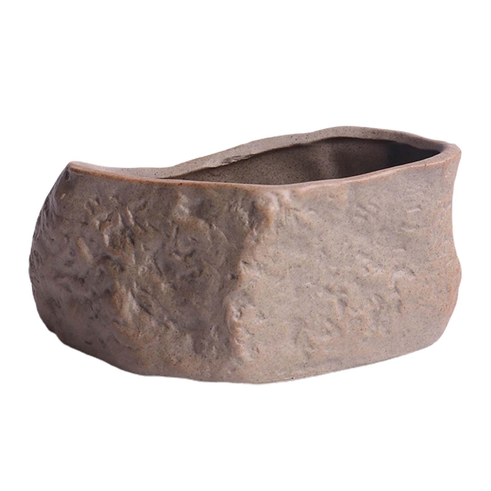 Ceramic Succulent Pot Lightwei - đánh giá và giá Training Pot Ceramic