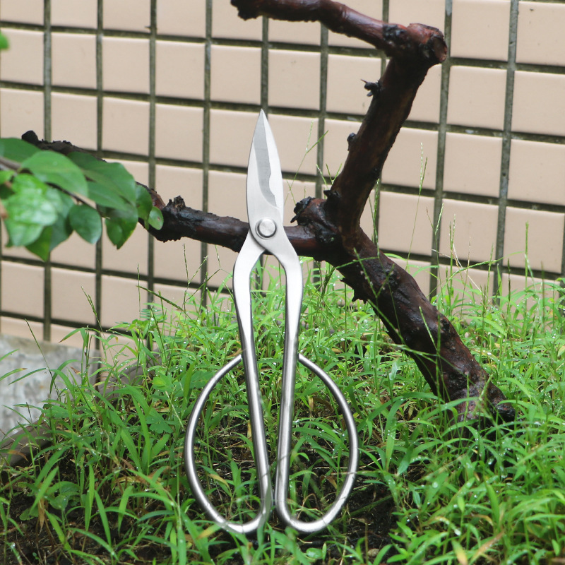 All-steel garden shears, folia - đánh giá và giá Concave Branch Cutter