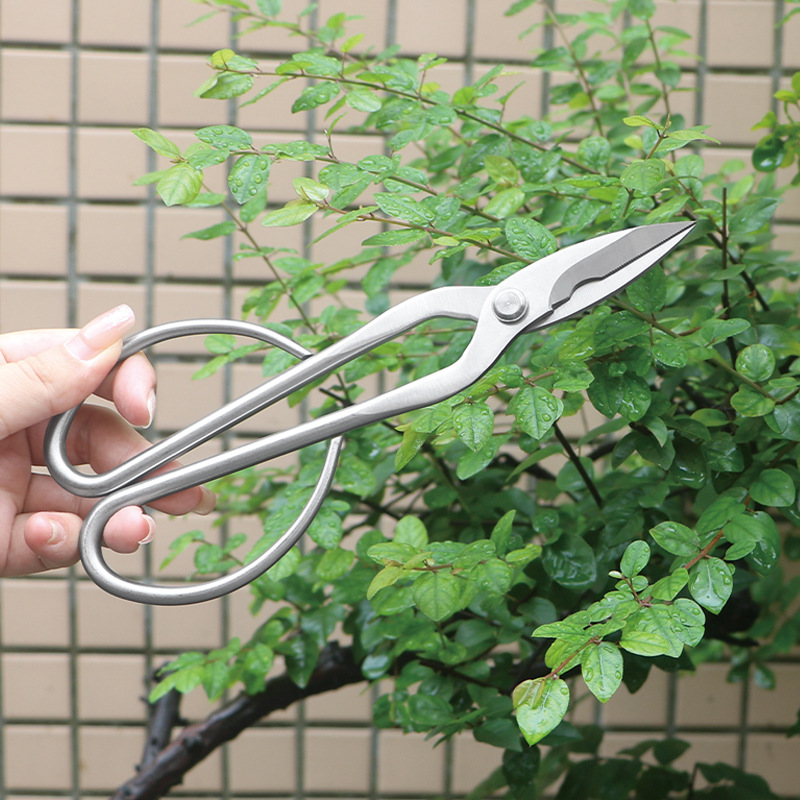 All-steel garden shears, folia - đánh giá và giá Concave Branch Cutter
