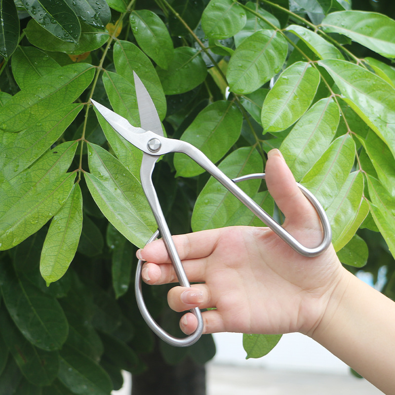 All-steel garden shears, folia - đánh giá và giá Concave Branch Cutter