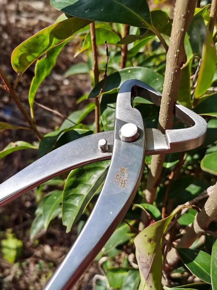 Professional Bonsai Tool Set   - đánh giá và giá Concave Branch Cutter