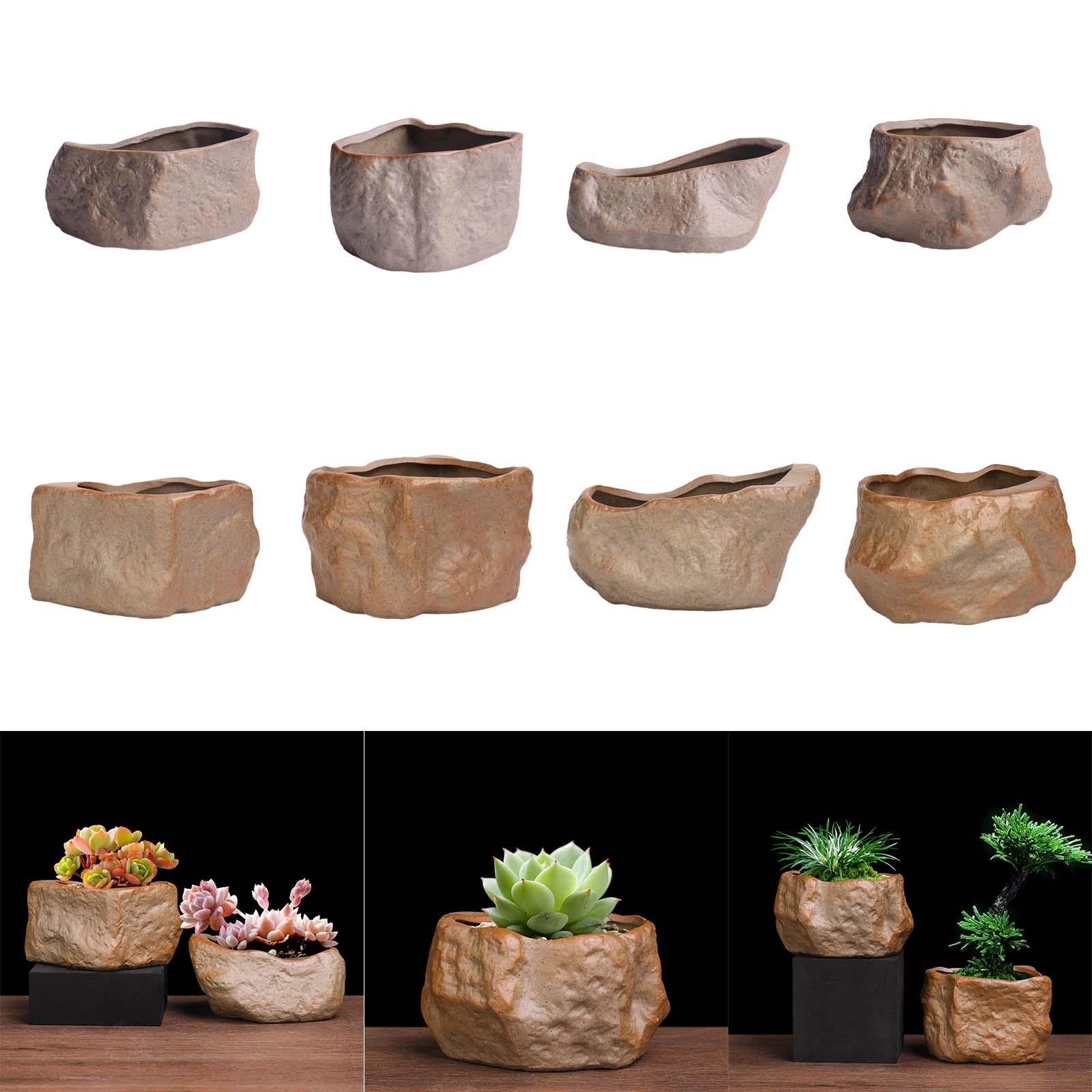 Ceramic Succulent Pot Stone Sh - đánh giá và giá Training Pot Ceramic