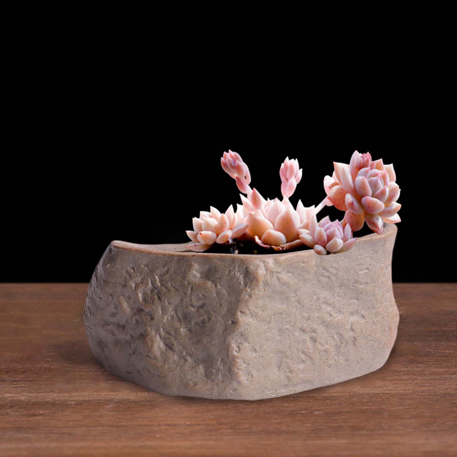 Ceramic Succulent Pot Stone Sh - đánh giá và giá Training Pot Ceramic