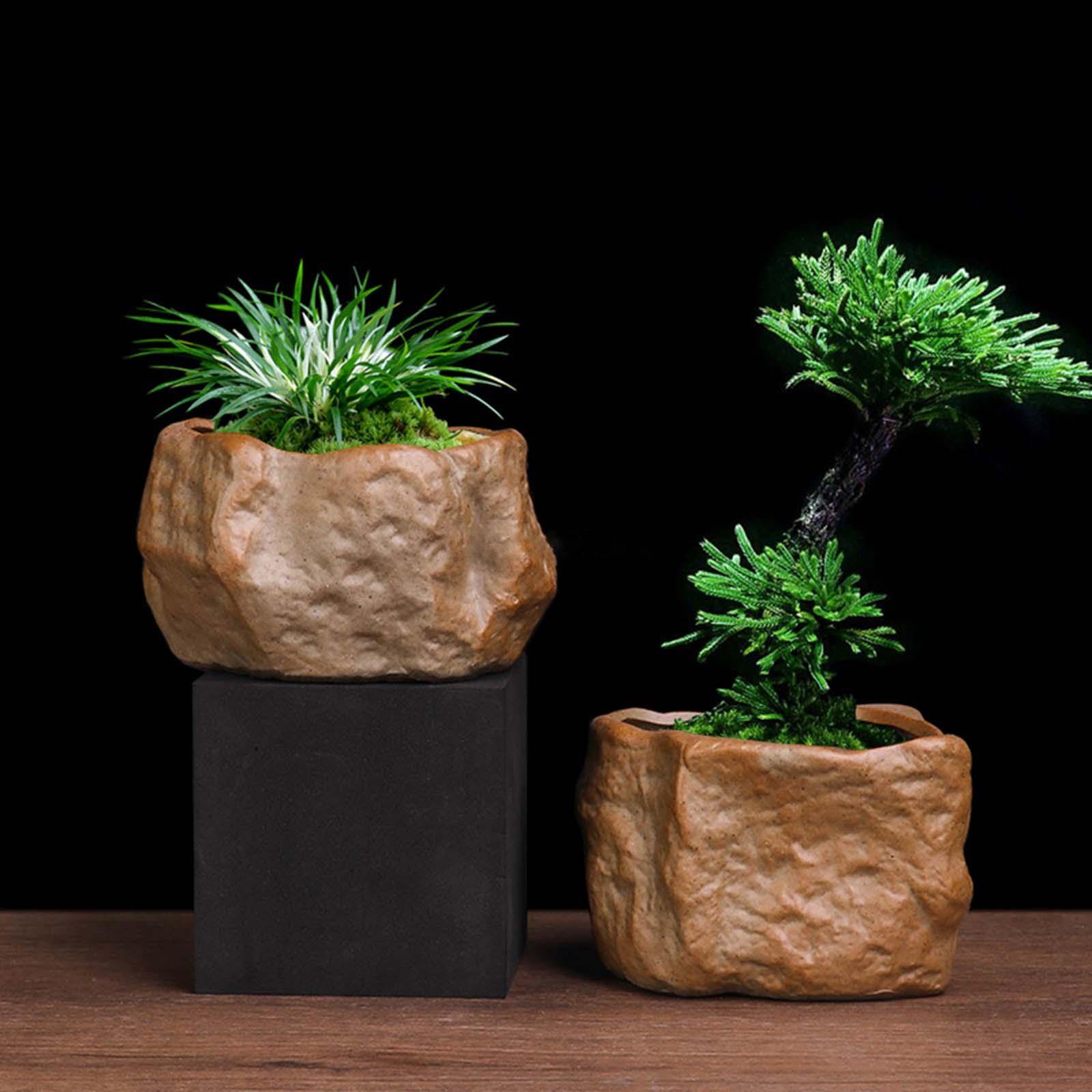 Ceramic Succulent Pot Stone Sh - đánh giá và giá Training Pot Ceramic