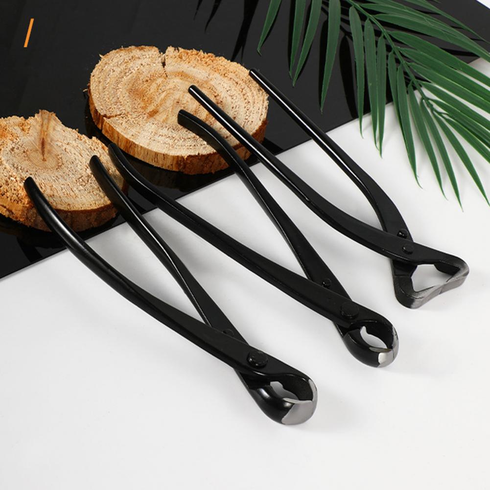Bonsai Concave Branch Cutter M - đánh giá và giá Concave Branch Cutter