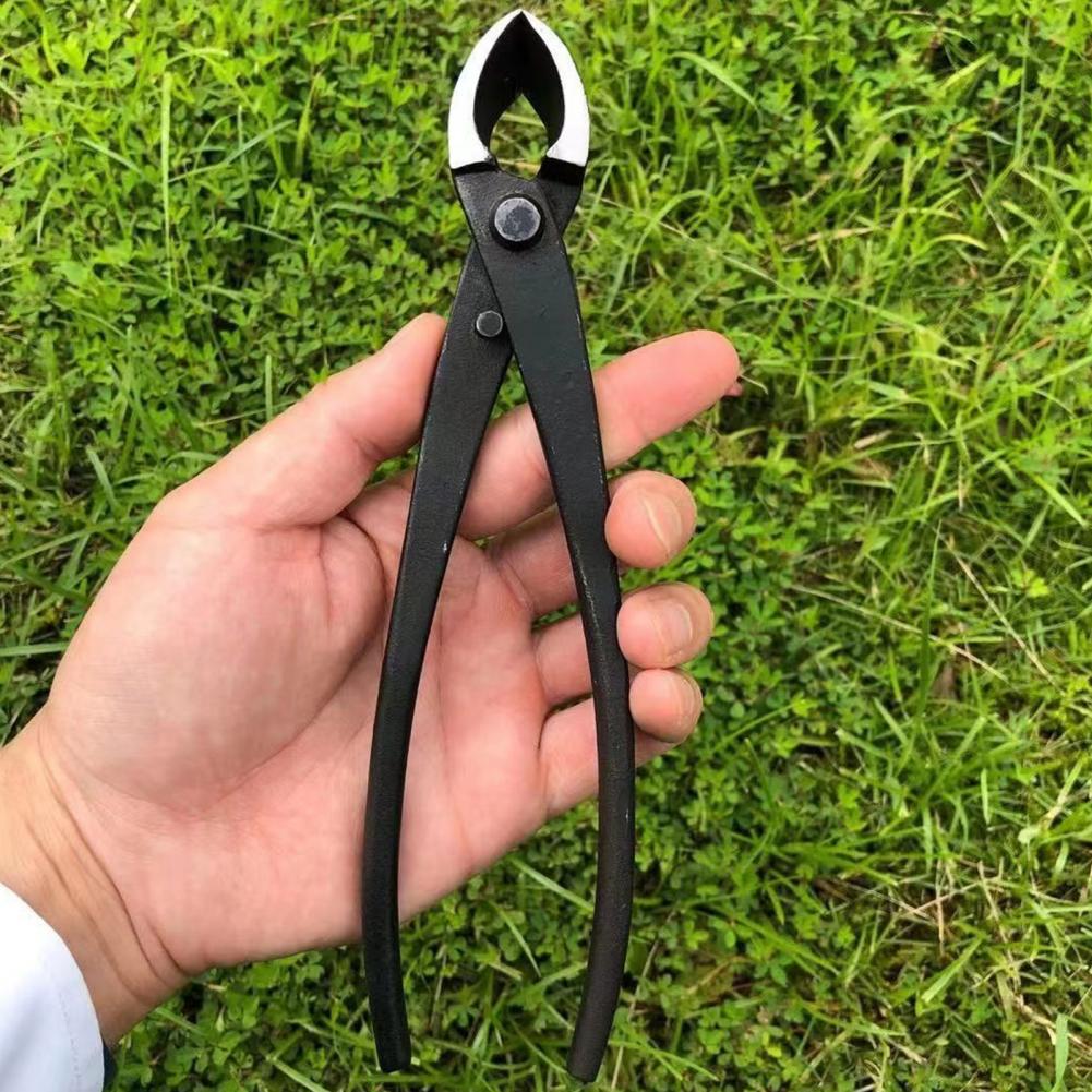 Bonsai Concave Branch Cutter M - đánh giá và giá Concave Branch Cutter