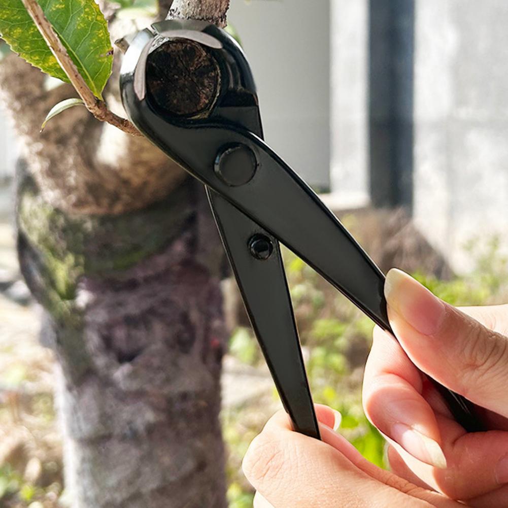 Bonsai Concave Branch Cutter M - đánh giá và giá Concave Branch Cutter