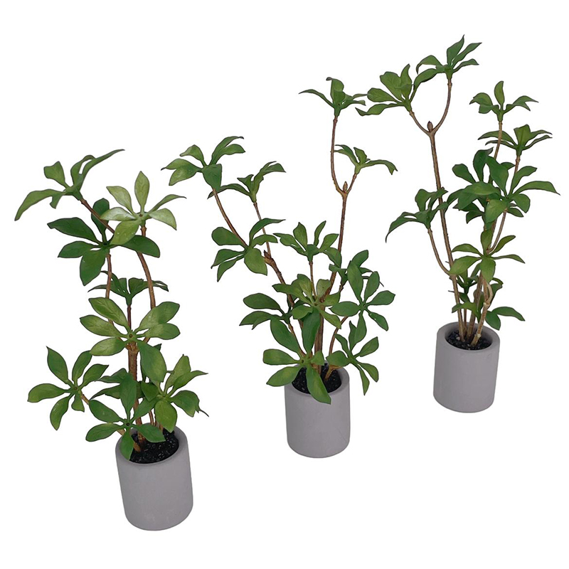 1:6 Dollhouse Miniature Potted - đánh giá và giá Bonsai Garden Zen