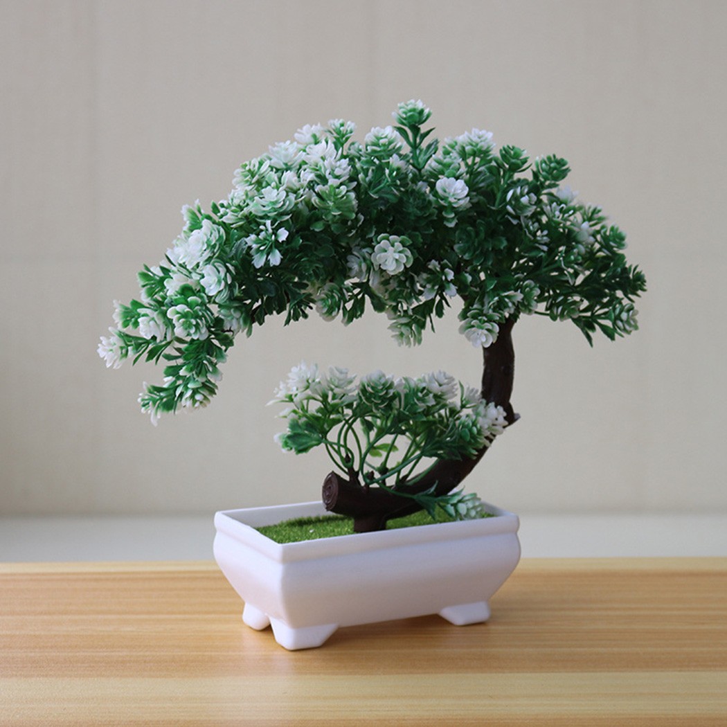 Plastic potted bonsai ornament - đánh giá và giá Bonsai Garden Desk