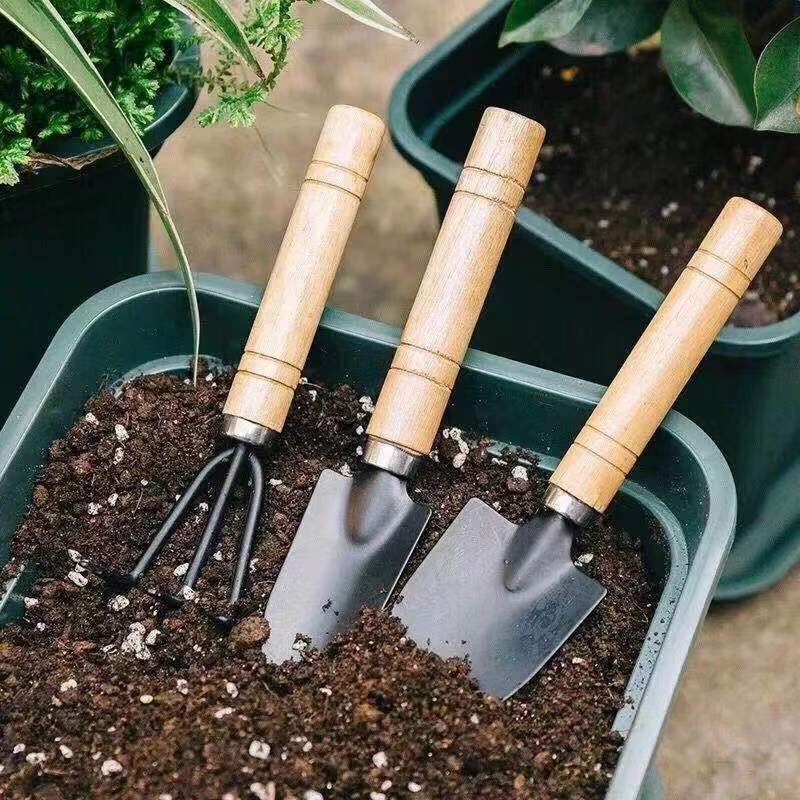 3PC/1Set Mini Gardening Tools  - đánh giá và giá Soil Scoop Tool