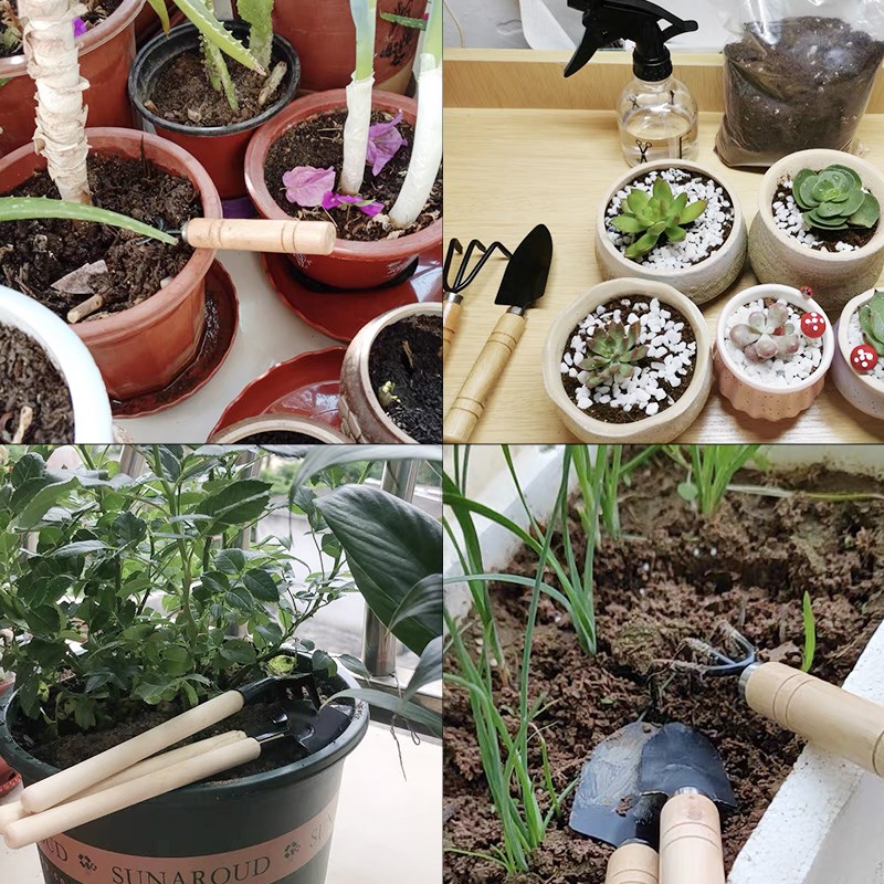 3PC/1Set Mini Gardening Tools  - đánh giá và giá Soil Scoop Tool