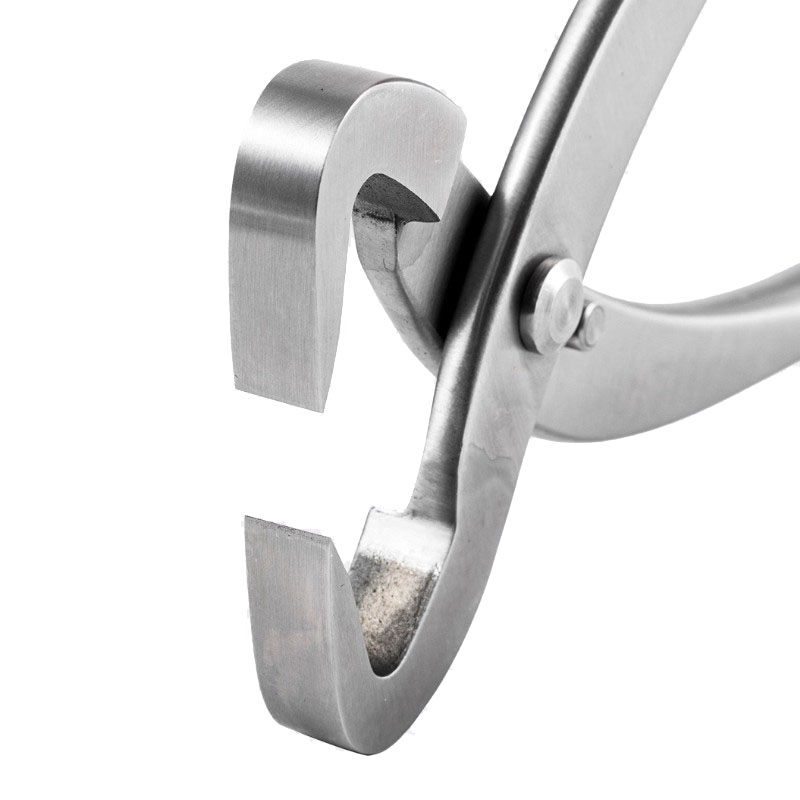 2pcs 210mm Stainless Steel Bon - đánh giá và giá Concave Branch Cutter