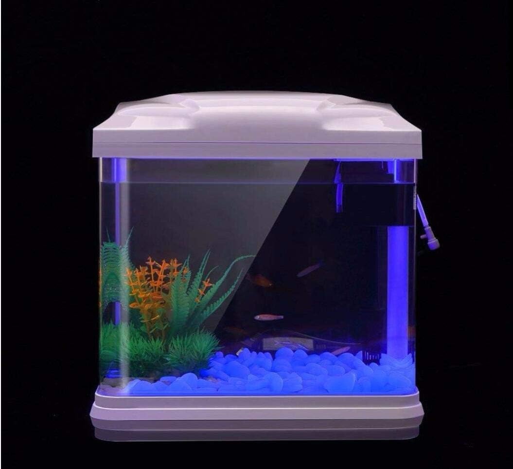 Fish Tank Rocks Glow Blue Pebb - đánh giá và giá Bonsai Garden Zen