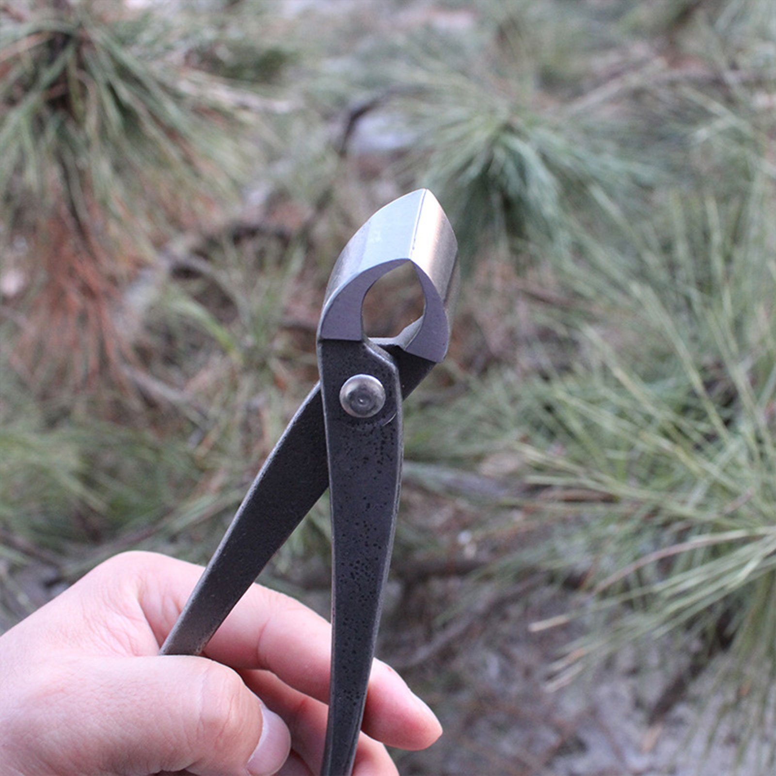 Garden Bonsai Knob Cutter Conc - đánh giá và giá Concave Branch Cutter