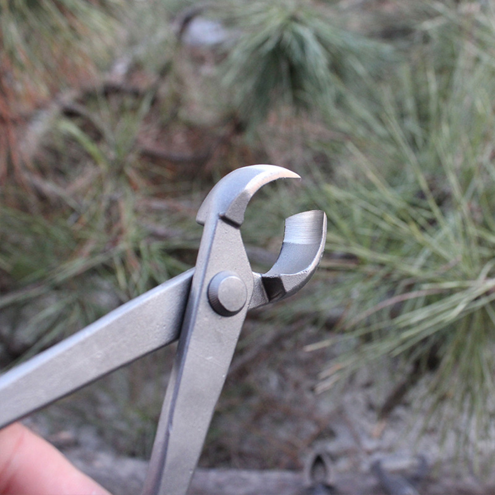 Garden Bonsai Knob Cutter Conc - đánh giá và giá Concave Branch Cutter