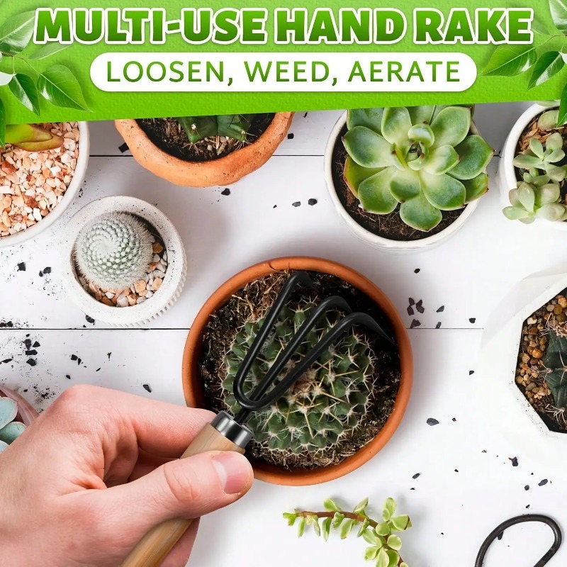 3PC/1Set Mini Gardening Tools  - đánh giá và giá Soil Scoop Tool
