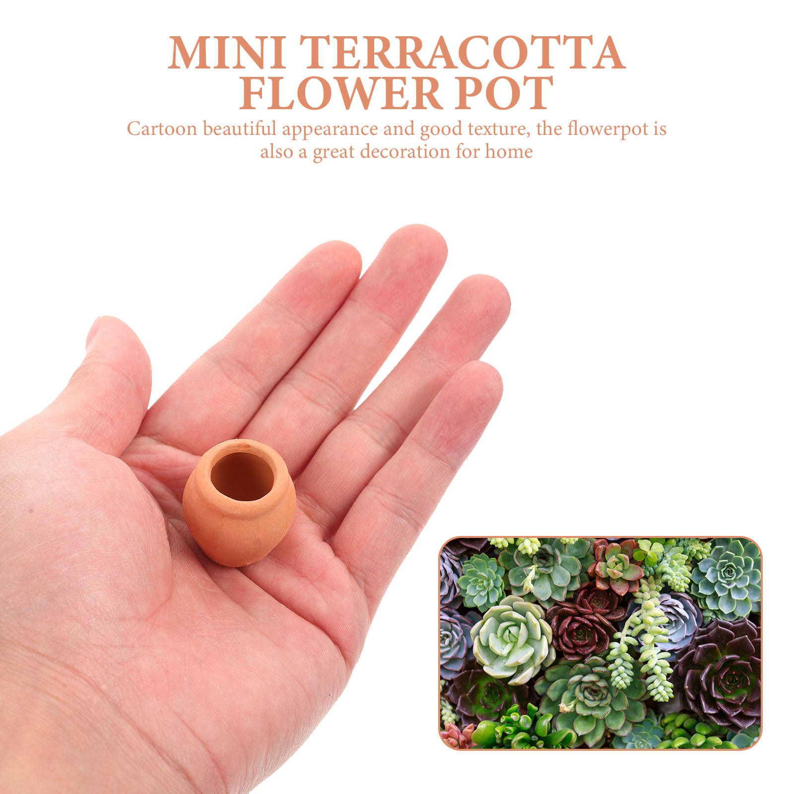 8Pcs Mini Ceramic Flower Pots  - đánh giá và giá Bonsai Garden Desk