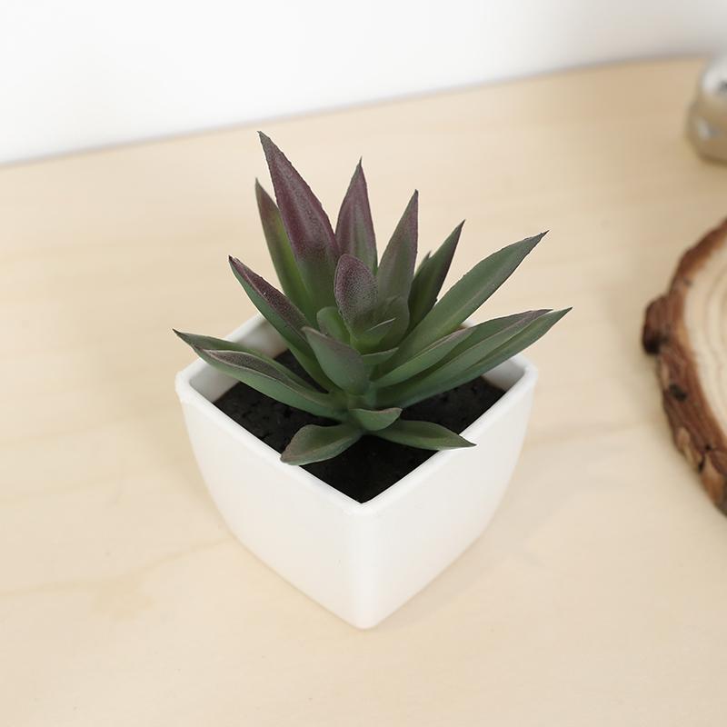 Mini Artificial Succulent Fair - đánh giá và giá Bonsai Garden Zen