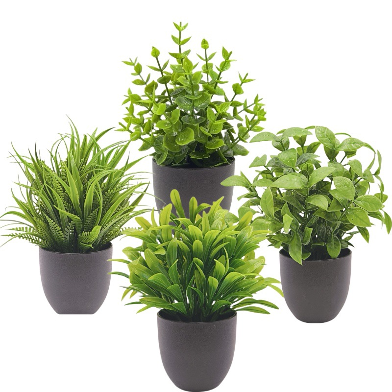 Simulation Green Plant Bonsai  - đánh giá và giá Bonsai Garden Zen