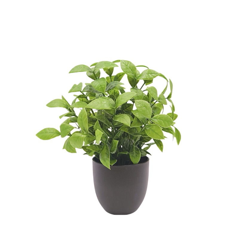 Simulation Green Plant Bonsai  - đánh giá và giá Bonsai Garden Zen