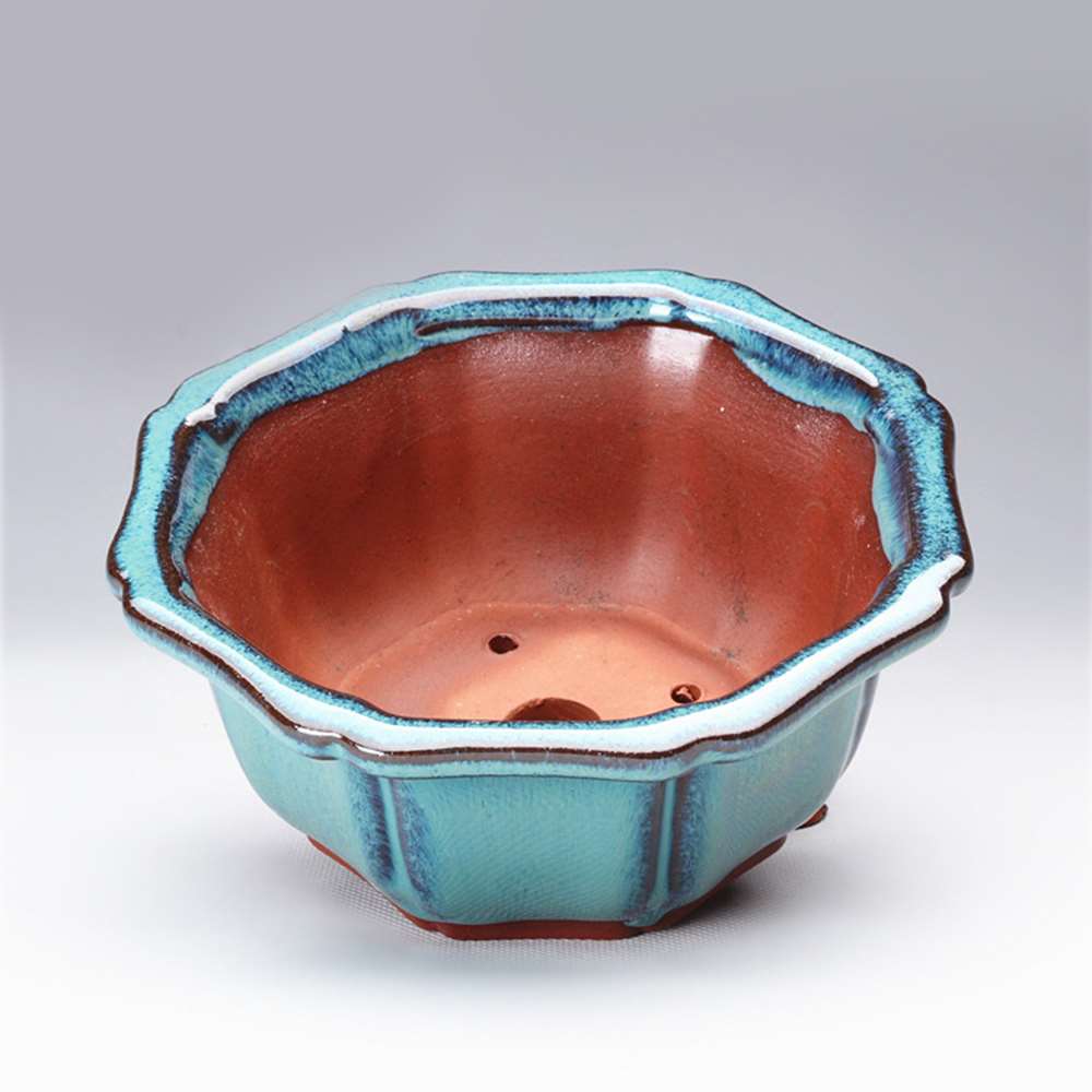 Chinese Style Bonsai Pots Brea - đánh giá và giá Training Pot Ceramic
